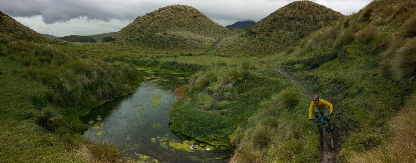 Aktuelle Empfehlungen der&nbsp;Redaktion
