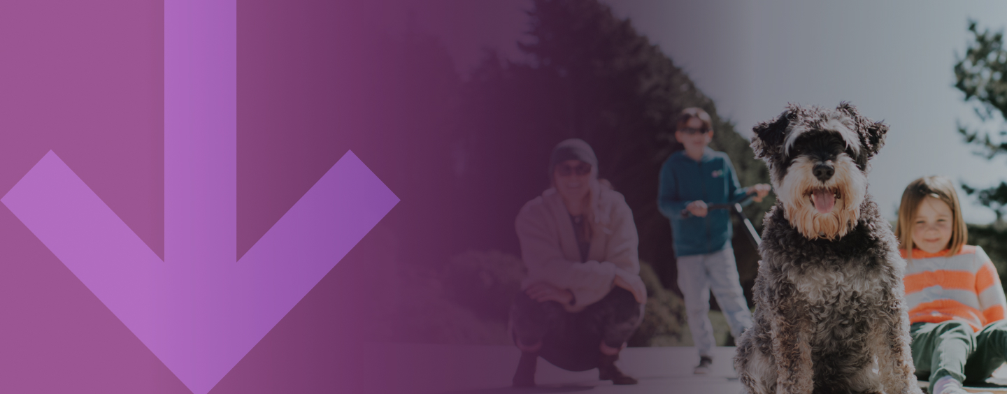 [Video Podcast]&nbsp;<i>Premium Access Live:&nbsp; Search, Create, and Share with&nbsp;Confidence</i>